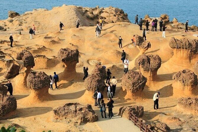 Taiwan TST: Private Tour Taipei Yehliu, Chaojing, Shifen, Jiufen - Authentic Experiences and Real Traveler Feedback
