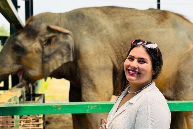 Taj Mahal Day Tour with Elephant from Delhi by Superfast Train - Exploring Agra Fort