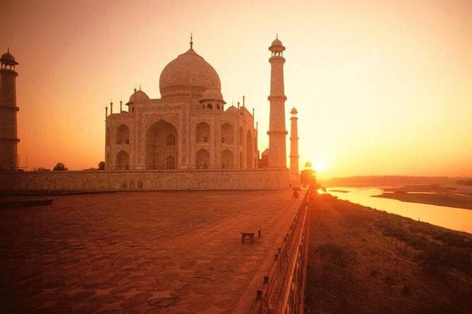 Taj mahal tour with SOS Elephant/Bear wildlife Sanctuary - What Travelers Say