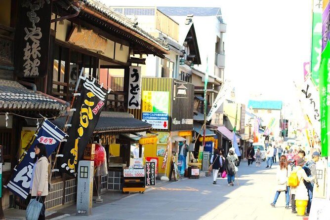 Takamatsu Half-Day Private Tour with Government-Licensed Guide - Practical Details and What to Expect
