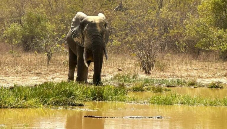 Tamale: 3-Day Northern Ghana Cultural and Wildlife Adventure - Final Thoughts: Who Will Appreciate This Experience?