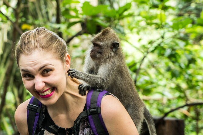 Tanah Lot Tour with Ubud Monkey Forest, Rice Terraces, and Waterfalls - A Step-by-Step Breakdown of the Itinerary