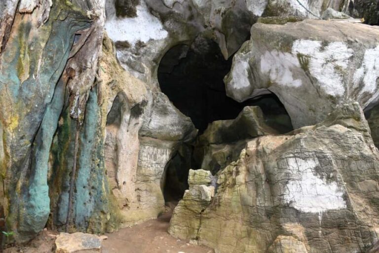 Tanga: Amani Nature Reserve, Amboni Caves, and Pangani - The Value of This Tour