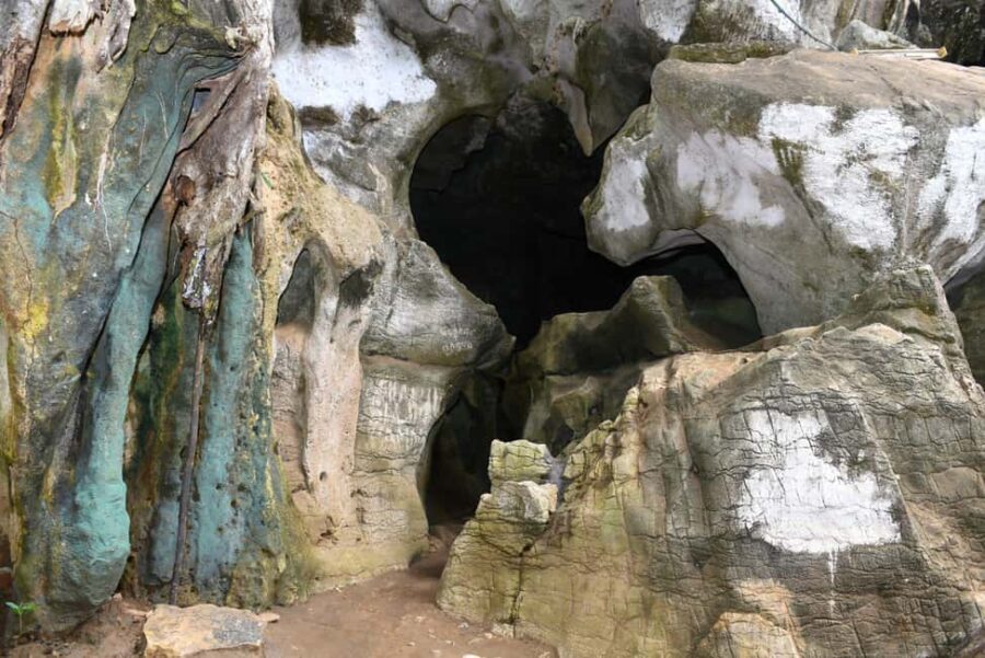 Tanga: Amani Nature Reserve, Amboni Caves, and Pangani - The Value of This Tour