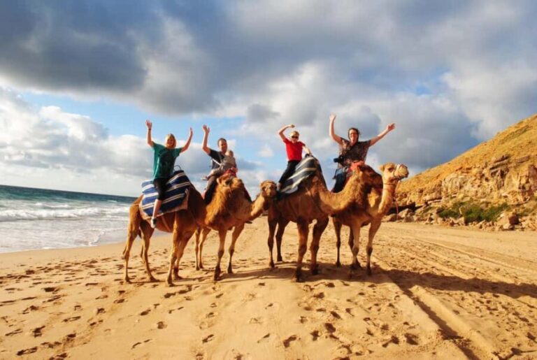 Tangier: All-Inclusive Private Tour - Visiting Cap Spartel and Perdicaris Park