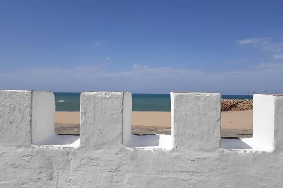 Tangier: Assilah Private Tour with Camel Ride - What Makes This Tour Stand Out?