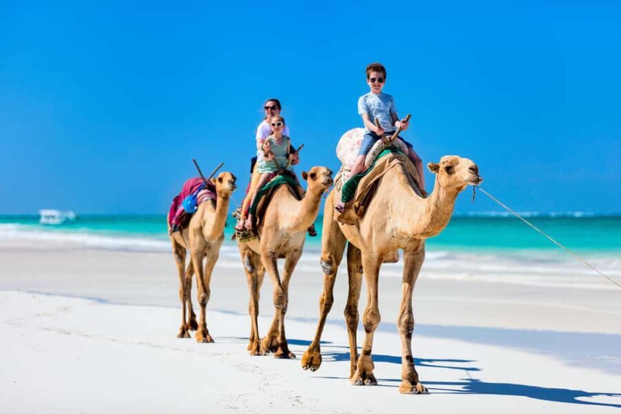 Tangier: Cap Spartel, Hercules Caves & Camel Ride - Authentic Moments and Practical Tips