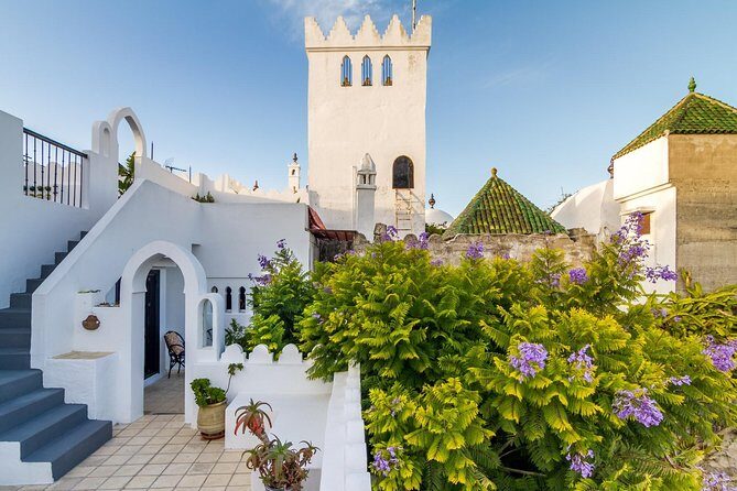 Tangier city break : Scenic Drive and Camel Trek - Who Might Want to Consider Other Options?