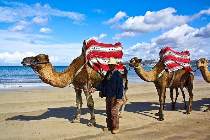 Tangier City Tour - Authentic Experiences & Authenticity