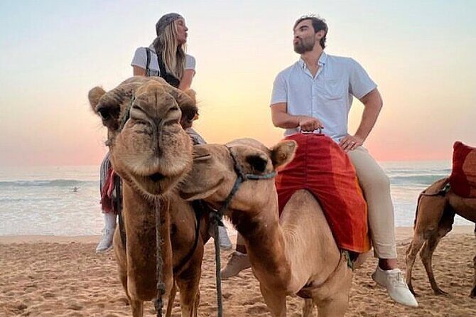Tangier Package: Camel Ride, Cap Spartel, Hercules Caves & Dining - The Sum Up: Who Will Love This Tour?