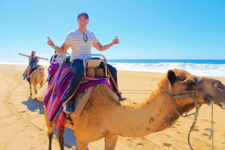 Tangier: Private City Tour - An In-Depth Look at the Itinerary