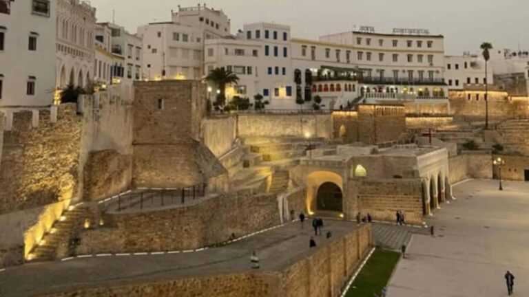 Tangier Private city tour with professional driver - Who Will Love This Tour?