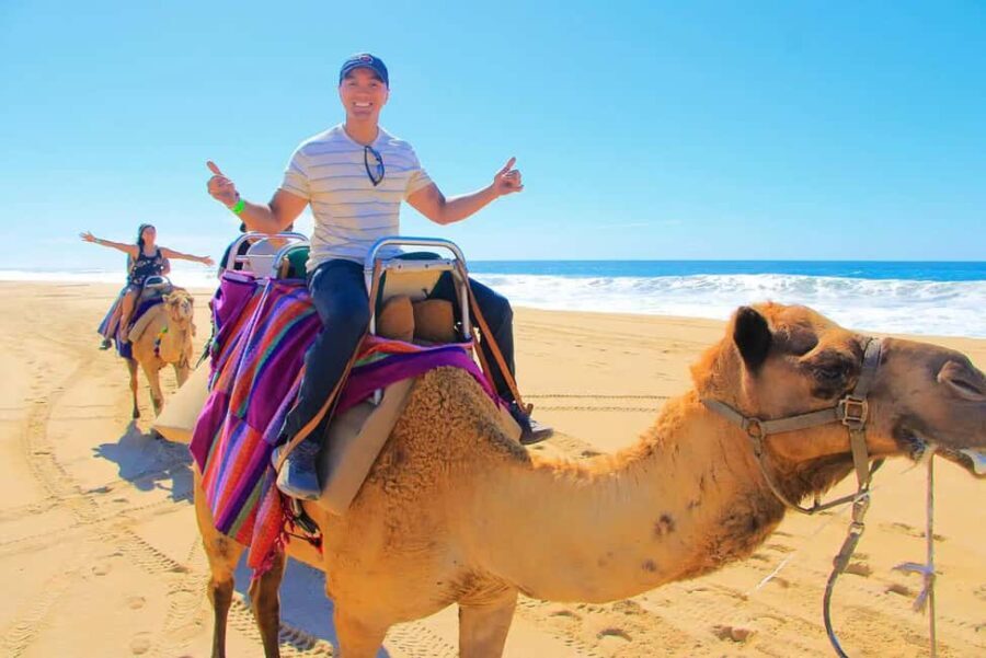 Tangier: Private City Tour - An In-Depth Look at the Itinerary
