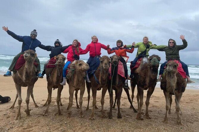 Tangier Private Day Tour from Cruise Ship All inclusive - The Sum Up