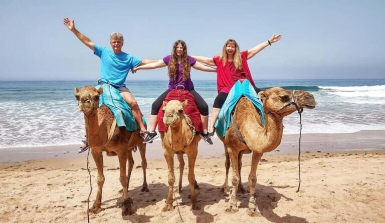 Tangier Private Half-Day Tour + Camel Ride + Add-on: Lunch - Who This Tour Is Best For