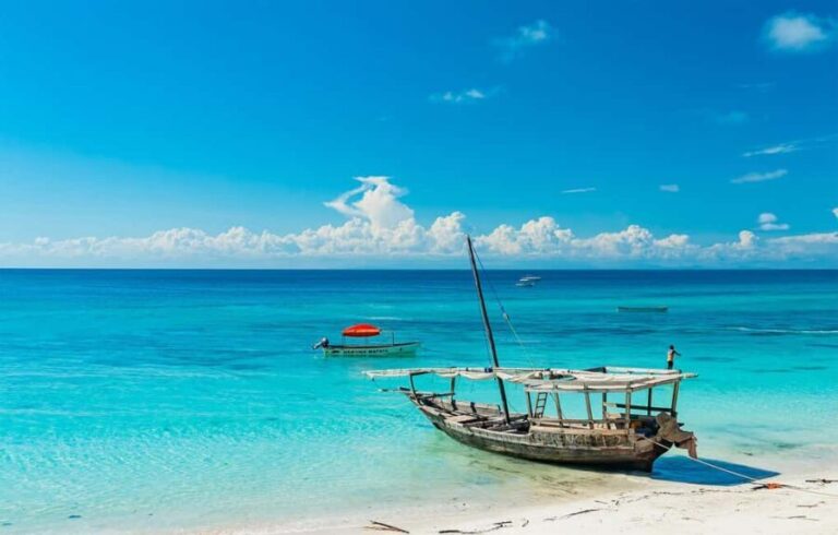 Tanzania: 10-Day Safari and Zanzibar Beach Experience - Is It Worth the Price?