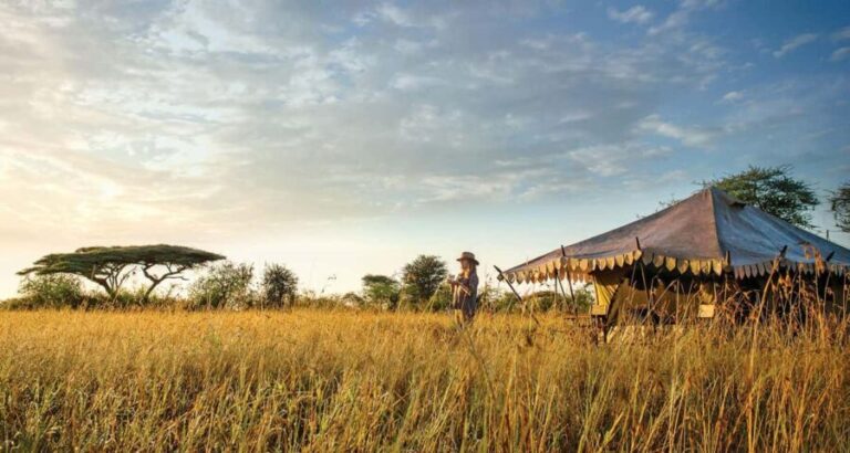 Tanzania: 10-Day Treasures of Wild Luxury Safari by Amara - Exploring the Itinerary: What Makes Each Stop Special
