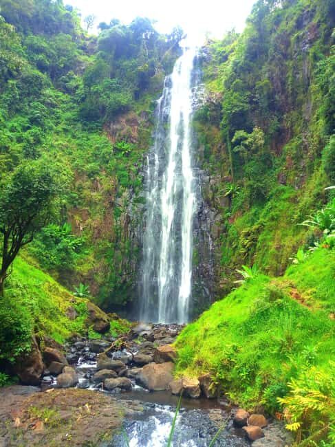 Tanzania:, 11 Days Safari and Cultural Experience - Who Should Consider This Tour?