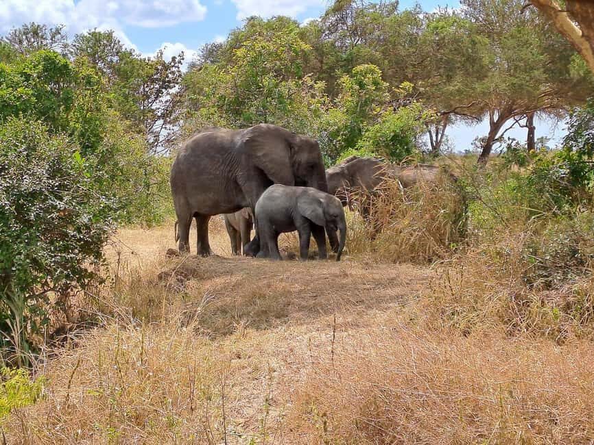Tanzania: 3-Day Safari to Mikumi and Udzungwa Mountains - FAQ
