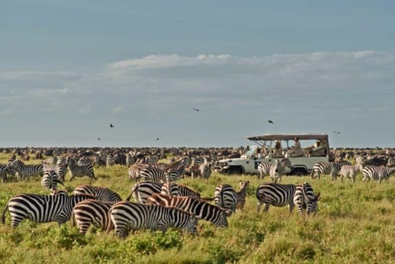 Tanzania: 3-Day Safari to Serengeti, Lake Manyara, - Detailed Review of the 3-Day Tanzanian Safari
