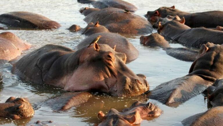 Tanzania: 3-Day Safari to Tarangire and Ngorongoro - Detailed Breakdown of the Itinerary