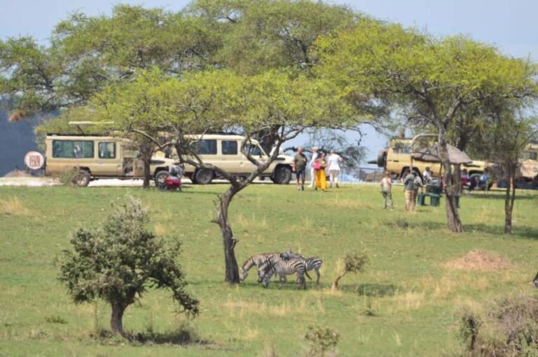 Tanzania : 3-Day Safari with Lake Manyara and Ngorongoro - The Sum Up: Is This Tour Right for You?