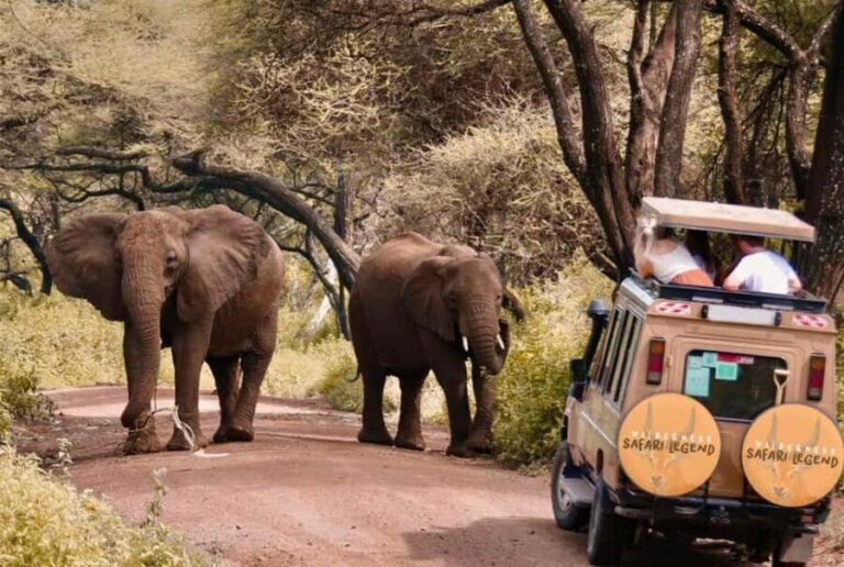 Tanzania: 3 DAYS (2 night) FULL IMMERSION Safari Adventure - Who Should Consider This Safari?