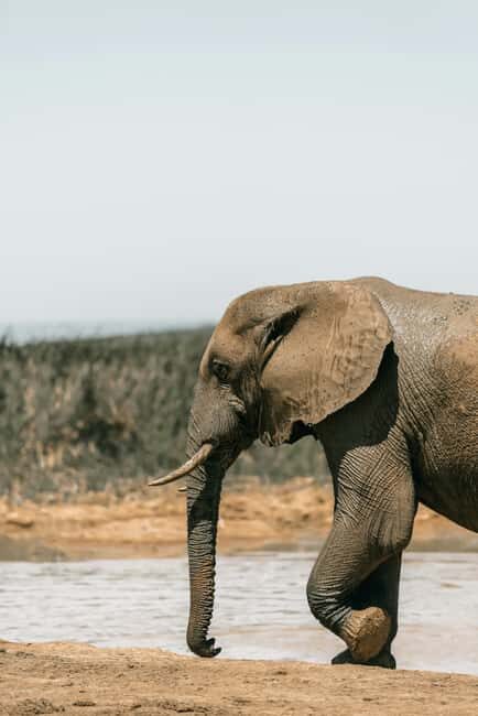 Tanzania: 4-Day Mid-Range Tour Tara, Serengeti & Ngorongoro - The Practicalities: What’s Included and What to Keep in Mind