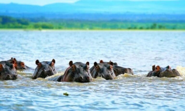 Tanzania: 5-Day Safari Tanzanian geo-nature. - What This Tour Means for You
