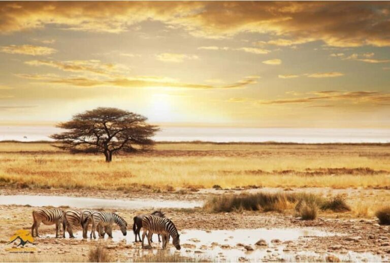 Tanzania: 5-Day Safari to Tarangire, Ngorongoro, and Manyara - What makes this safari stand out?