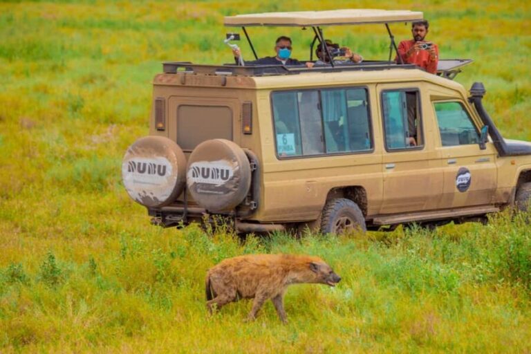 Tanzania: 6-Day Great Migration Safari - The Itinerary Breakdown: What Makes Each Stop Special