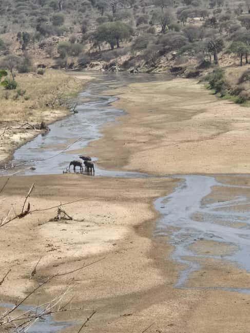 Tanzania: 6-Day Safari to Lake Manyara, Serengeti, and More - Daily Breakdown of the Itinerary