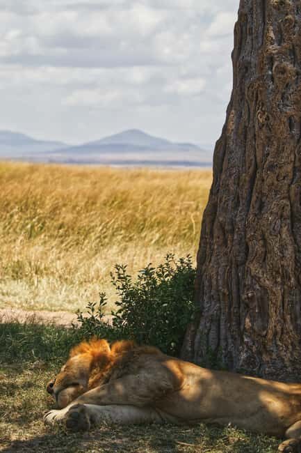 Tanzania: 7-Day Camping Safari to Serengeti & Ngorongoro - Exploring the Itinerary in Detail