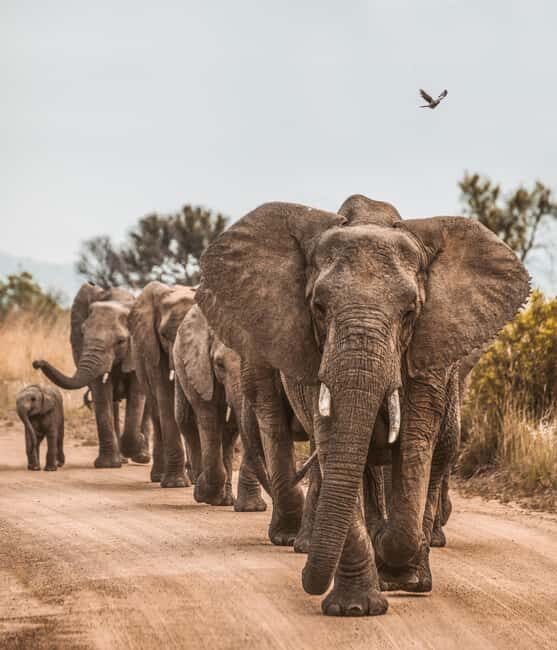 Tanzania: Arusha National Park & Ngurdoto Crater Tour - Exploring the Itinerary: What to Expect