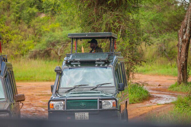 Tanzania Classic Safari 3 Days / 2 Nights - The Itinerary Breakdown