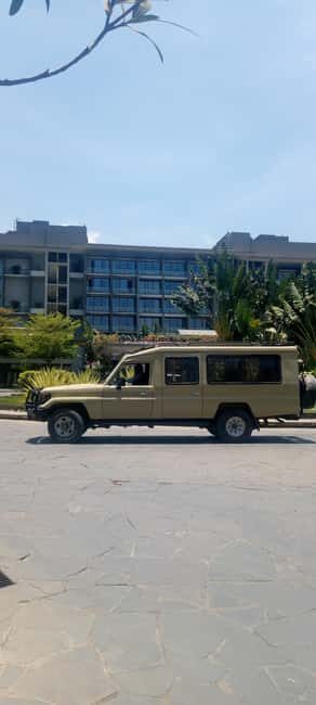 Tanzania: High Luxury 7-Day Safari Tanzania safari. - Day-by-Day Breakdown: What to Expect
