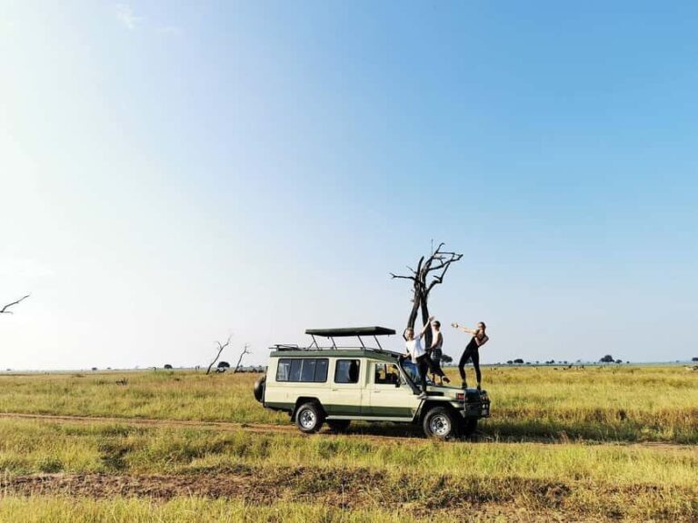 Tanzania: Mikumi National Park 3-Day Private Safari - Final Thoughts