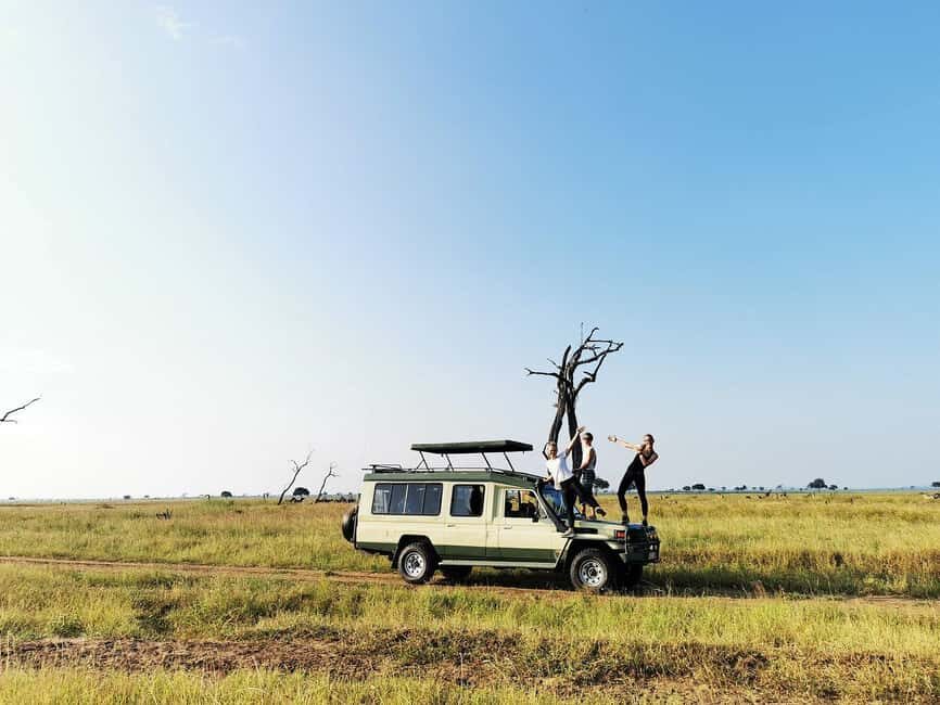 Tanzania: Mikumi National Park 3-Day Private Safari - Final Thoughts