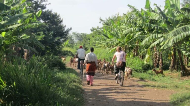 Tanzania: Northern Circuit Luxury Safari - Final Thoughts: Is This Tour Right for You?