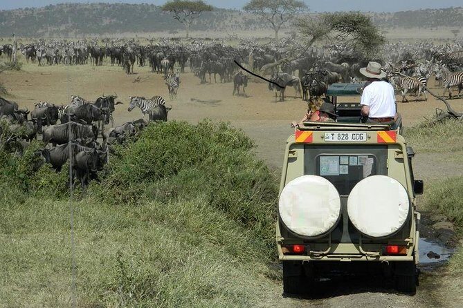 Tanzania Wildlife Safari - Tarangire | Serengeti and Ngorongoro Crater - Authentic Experiences and Practical Insights
