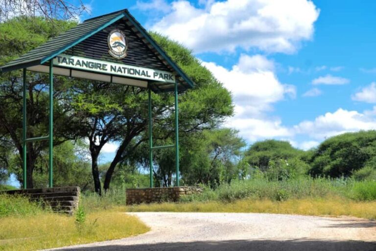 Tarangire Natl Park & Lake Eyasi (Datoga & Hadzabe Villages) - Cultural Encounters at Datoga and Hadzabe Villages