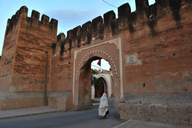 Taroudant and Tiout Oasis Trip With Lunch - The Practicalities and Value