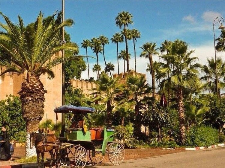 Taroudant and Tiout Oasis Trip With Lunch - Exploring Taroudant: Morocco’s “Little Marrakech”