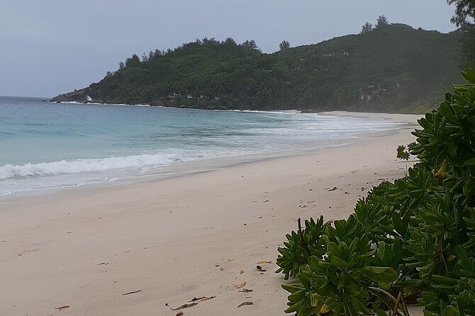 Taxi service & Mahe Island tours - Final Thoughts: Who Will Love This Tour?