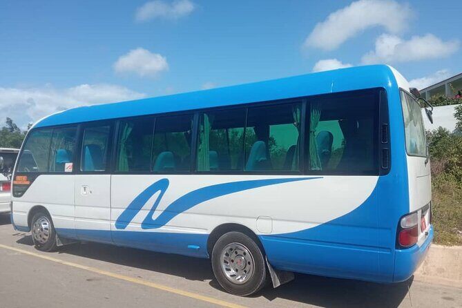 Taxi Services and Transfers Zanzibar - Practical Details and Booking
