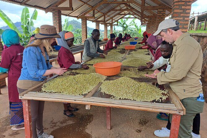 Tea and coffee tours - Who Will Love This Tour?