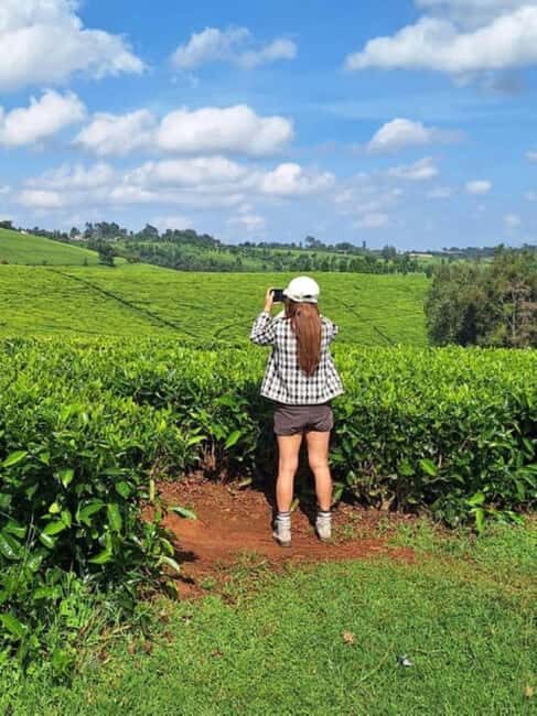 Tea Farm From Nairobi (Kiambethu)