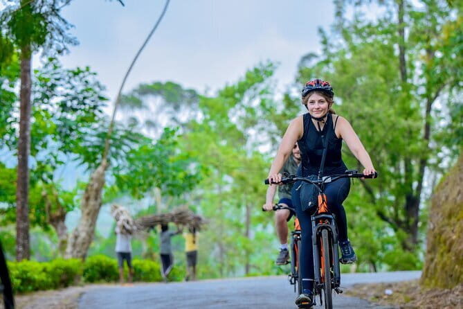 Tea Loops E-Biking - The Experience and What to Expect
