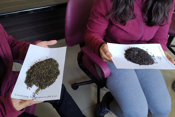 Tea Pluckers' Day - Who Should Consider This Tour?