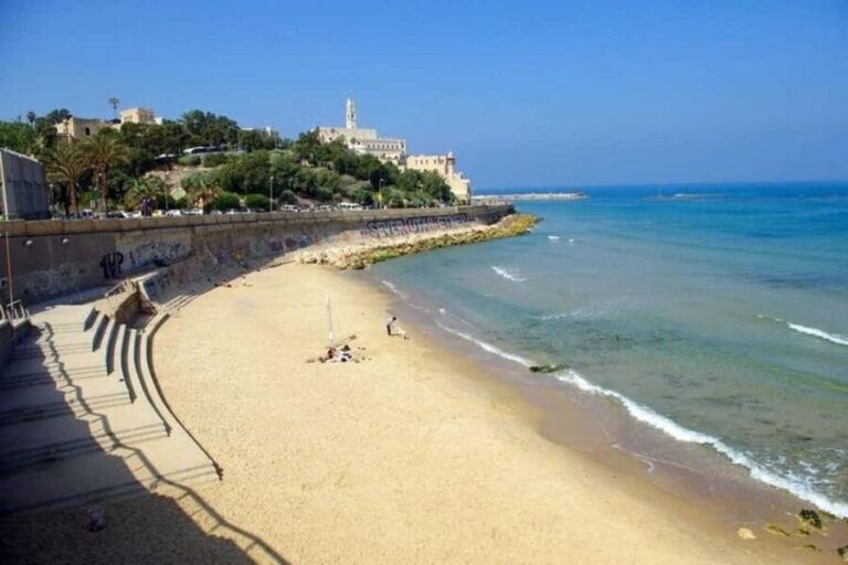 Tel Aviv Private Custom Walking Tour With A Guide - Why Choose a Private, Customizable Tour?
